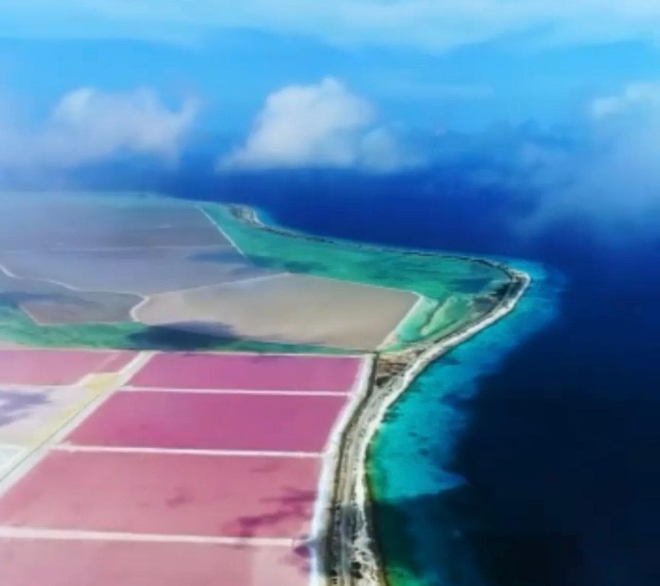 LOS COLORES DEL SUR