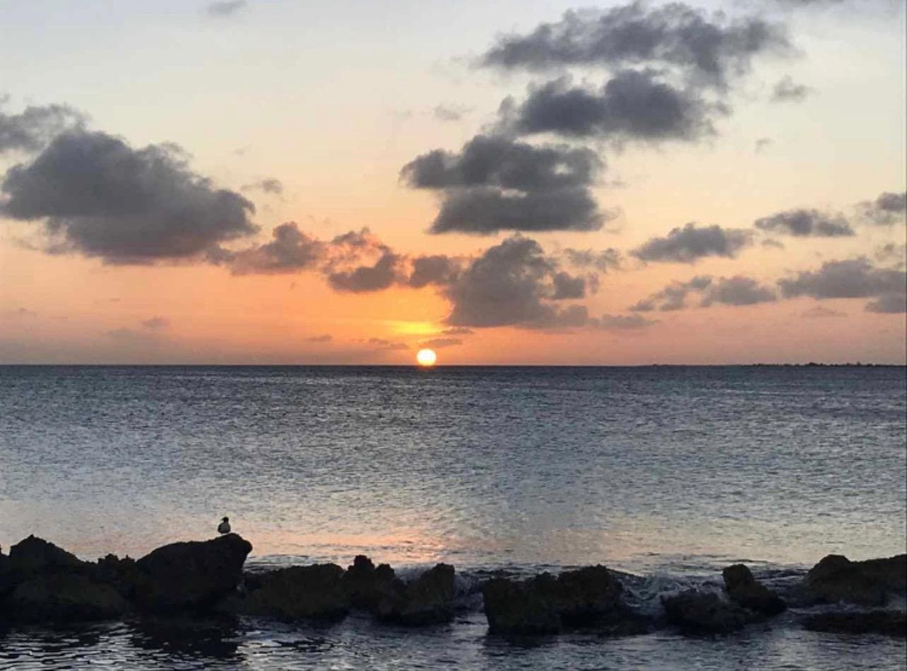UN VIAJE ROMÁNTICO POR LA COSTA