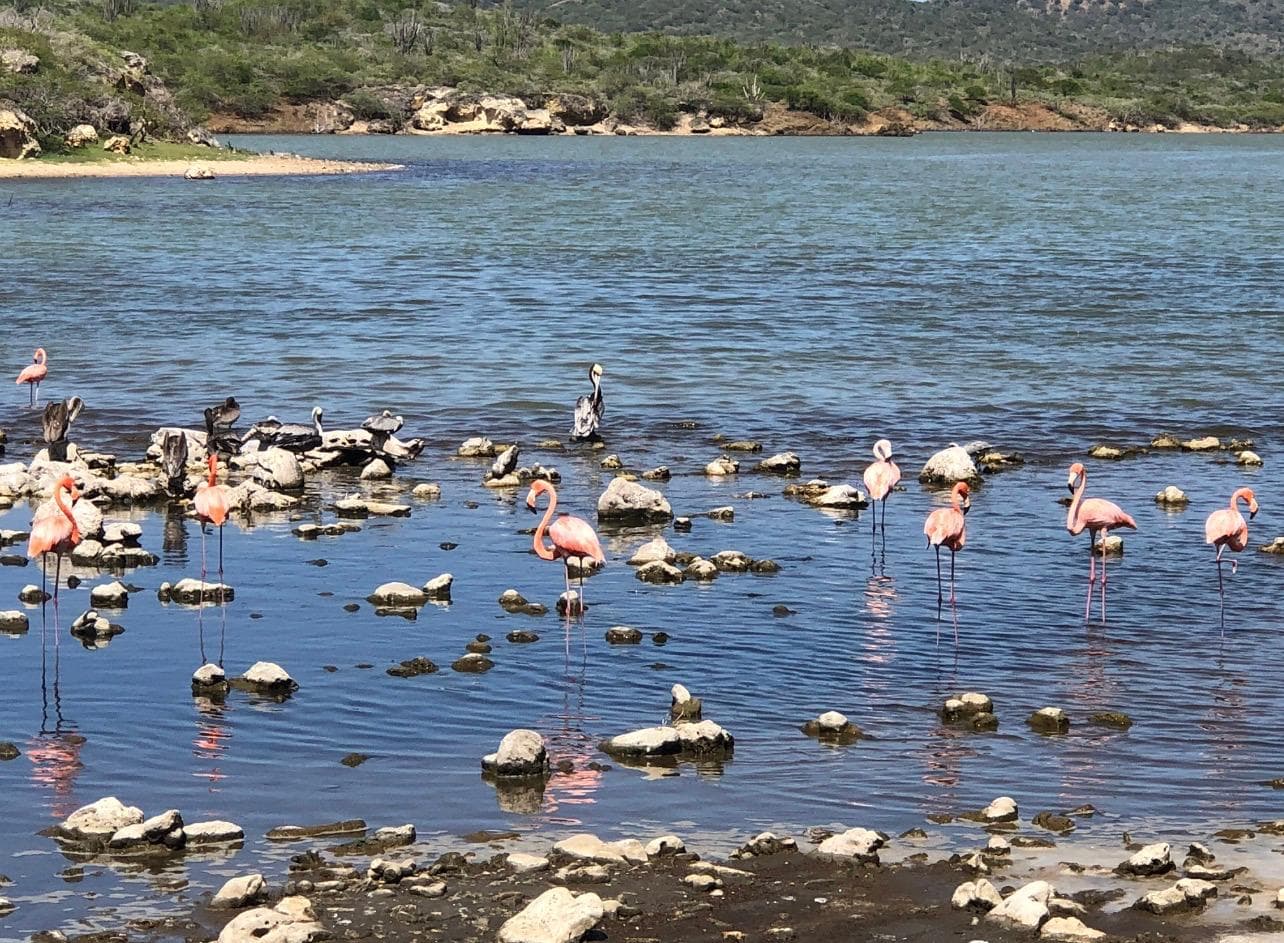 EL RITMO DE LA NATURALEZA